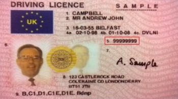 Example driving licence